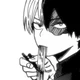 MHA Shoto Todoroki 