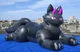 Inflatable Buck