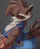 Rocket Racoon