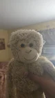 Simon The Monkey