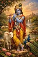 krishna teach