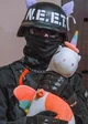 Neet swat