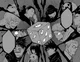 01 -Shibuya Incident