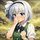 Touhou flower youmu