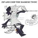 Zip and Chip