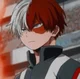 Shoto Todoroki