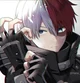 Shoto Todoroki