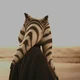 AHSOKA I TANO
