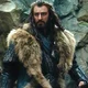 06Thorin Oakenshield