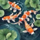 Koi Fish