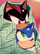 009 SHADOW N SONIC