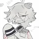Teen chip fpe RP