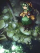 Koishi Komeji - TH