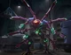 Tarantulas - TFES