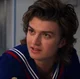 steve harrington 