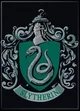 The Slytherin Boys