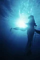 Avatar - warning 