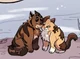 WARRIOR CATS