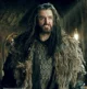 Thorin Oakenshield 