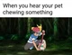 Illegal Pokémon Lab