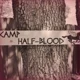 CAMP HALFBLOOD PJO