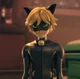 Chat Noir