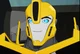 Bumblebee RID