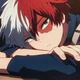 MHA Todoroki