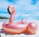 Inflatable Flamingo 