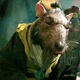 Splinter 