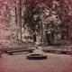 Camp Halfblood PJO