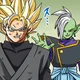 GOKU BLACK X ZAMASU
