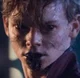 Newt