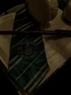 Slytherin Gang