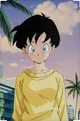 Videl