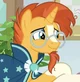 MLP - Sunburst