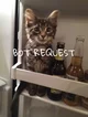 00 BOT REQUEST