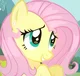Fluttershy MLP