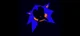 Rewrite Pareidolia