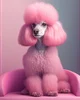 AI Poodle