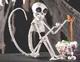 Skeleton Monkey