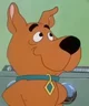Scrappy Doo
