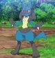 Lucario