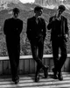 Your Three Brothers 