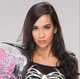 AJ Lee - 2014