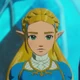 botw - zelda