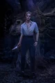 Poe Verne