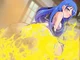 Gassy samidare