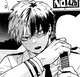04 Shoto Todoroki