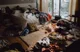 Roomate